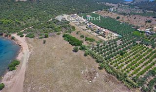 Αγροτεμάχια 6.200 τ.μ. για πώληση, Αργολίδα, Ερμιόνη-thumb-14