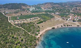 Αγροτεμάχια 6.200 τ.μ. για πώληση, Αργολίδα, Ερμιόνη-thumb-4