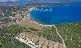 Αγροτεμάχια 6.200 τ.μ. για πώληση, Αργολίδα, Ερμιόνη-thumb-24