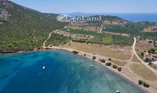 Αγροτεμάχια 6.200 τ.μ. για πώληση, Αργολίδα, Ερμιόνη-thumb-10