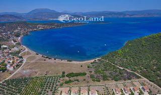 Αγροτεμάχια 6.200 τ.μ. για πώληση, Αργολίδα, Ερμιόνη-thumb-23