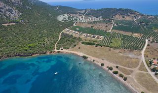 Αγροτεμάχια 6.200 τ.μ. για πώληση, Αργολίδα, Ερμιόνη-thumb-7