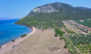 Αγροτεμάχια 6.200 τ.μ. για πώληση, Αργολίδα, Ερμιόνη-thumb-18