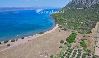 Αγροτεμάχια 6.200 τ.μ. για πώληση, Αργολίδα, Ερμιόνη-thumb-17
