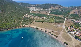 Αγροτεμάχια 6.200 τ.μ. για πώληση, Αργολίδα, Ερμιόνη-thumb-8