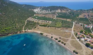 Αγροτεμάχια 6.200 τ.μ. για πώληση, Αργολίδα, Ερμιόνη-thumb-9