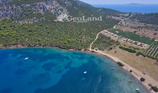 Αγροτεμάχια 6.200 τ.μ. για πώληση, Αργολίδα, Ερμιόνη-thumb-6