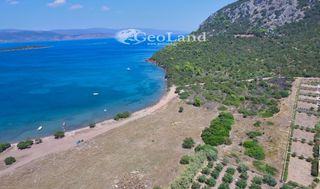 Αγροτεμάχια 6.200 τ.μ. για πώληση, Αργολίδα, Ερμιόνη-thumb-16