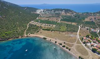 Αγροτεμάχια 4.361 τ.μ. για πώληση, Αργολίδα, Ερμιόνη-thumb-6