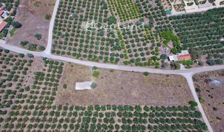 Αγροτεμάχια 4.361 τ.μ. για πώληση, Αργολίδα, Ερμιόνη-thumb-2