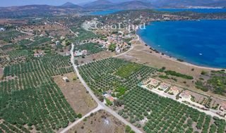 Αγροτεμάχια 4.361 τ.μ. για πώληση, Αργολίδα, Ερμιόνη-thumb-3