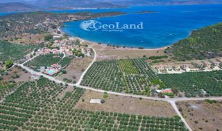 Αγροτεμάχια 4.361 τ.μ. για πώληση, Αργολίδα, Ερμιόνη-thumb-1