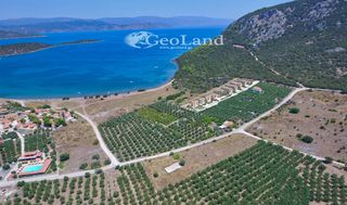 Αγροτεμάχια 4.361 τ.μ. για πώληση, Αργολίδα, Ερμιόνη-thumb-10