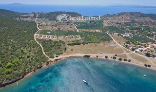 Αγροτεμάχια 4.361 τ.μ. για πώληση, Αργολίδα, Ερμιόνη-thumb-5