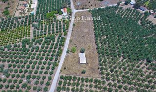 Αγροτεμάχια 4.361 τ.μ. για πώληση, Αργολίδα, Ερμιόνη-thumb-8