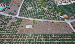 Αγροτεμάχια 4.361 τ.μ. για πώληση, Αργολίδα, Ερμιόνη-thumb-9