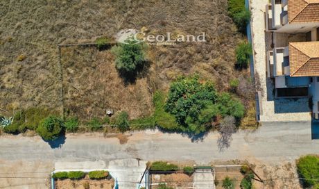 Οικόπεδο 312τ.μ. για πώληση-Κρανίδι » Πορτοχέλι