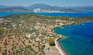 Αγροτεμάχια 6.000 τ.μ. για πώληση, Αργολίδα, Ερμιόνη-thumb-11