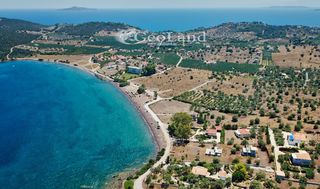 Αγροτεμάχια 6.000 τ.μ. για πώληση, Αργολίδα, Ερμιόνη-thumb-14