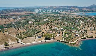 Αγροτεμάχια 6.000 τ.μ. για πώληση, Αργολίδα, Ερμιόνη-thumb-12