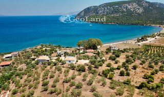 Αγροτεμάχια 6.000 τ.μ. για πώληση, Αργολίδα, Ερμιόνη-thumb-16