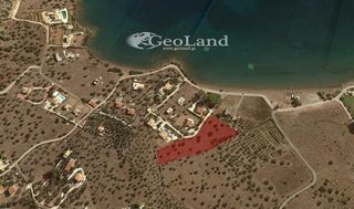 Αγροτεμάχια 6.000 τ.μ. για πώληση, Αργολίδα, Ερμιόνη-thumb-9