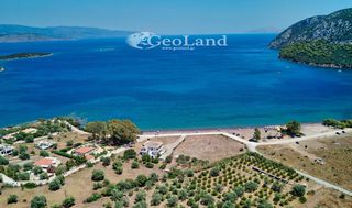 Αγροτεμάχια 6.000 τ.μ. για πώληση, Αργολίδα, Ερμιόνη-thumb-4