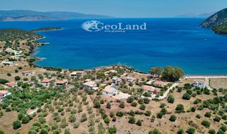 Αγροτεμάχια 6.000 τ.μ. για πώληση, Αργολίδα, Ερμιόνη-thumb-18