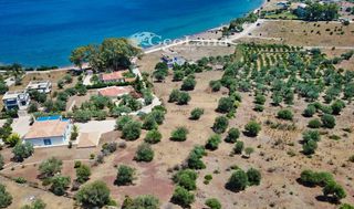 Αγροτεμάχια 6.000 τ.μ. για πώληση, Αργολίδα, Ερμιόνη-thumb-15