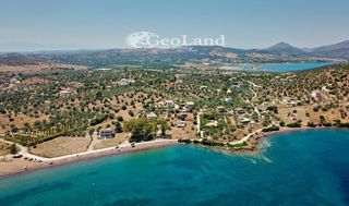 Αγροτεμάχια 6.000 τ.μ. για πώληση, Αργολίδα, Ερμιόνη-thumb-13