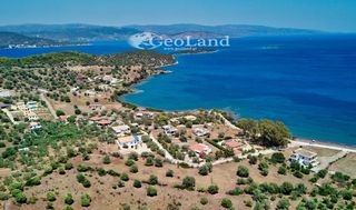 Αγροτεμάχια 6.000 τ.μ. για πώληση, Αργολίδα, Ερμιόνη-thumb-7