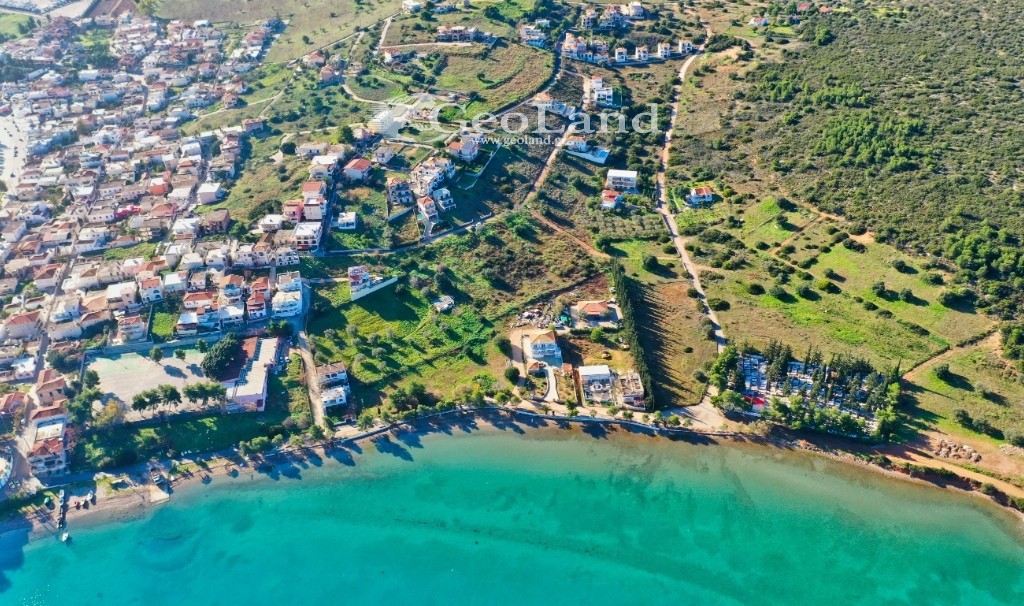 Οικόπεδο 11.300 τ.μ. πρός πώληση, Αργολίδα, Κρανίδι
