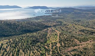 Αγροτεμάχια 14.000 τ.μ. πρός πώληση, Αργολίδα, Ερμιόνη-thumb-11