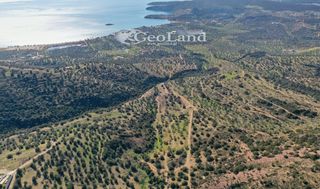 Αγροτεμάχια 14.000 τ.μ. πρός πώληση, Αργολίδα, Ερμιόνη-thumb-9