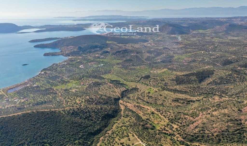 Αγροτεμάχια 14.000 τ.μ. πρός πώληση, Αργολίδα, Ερμιόνη