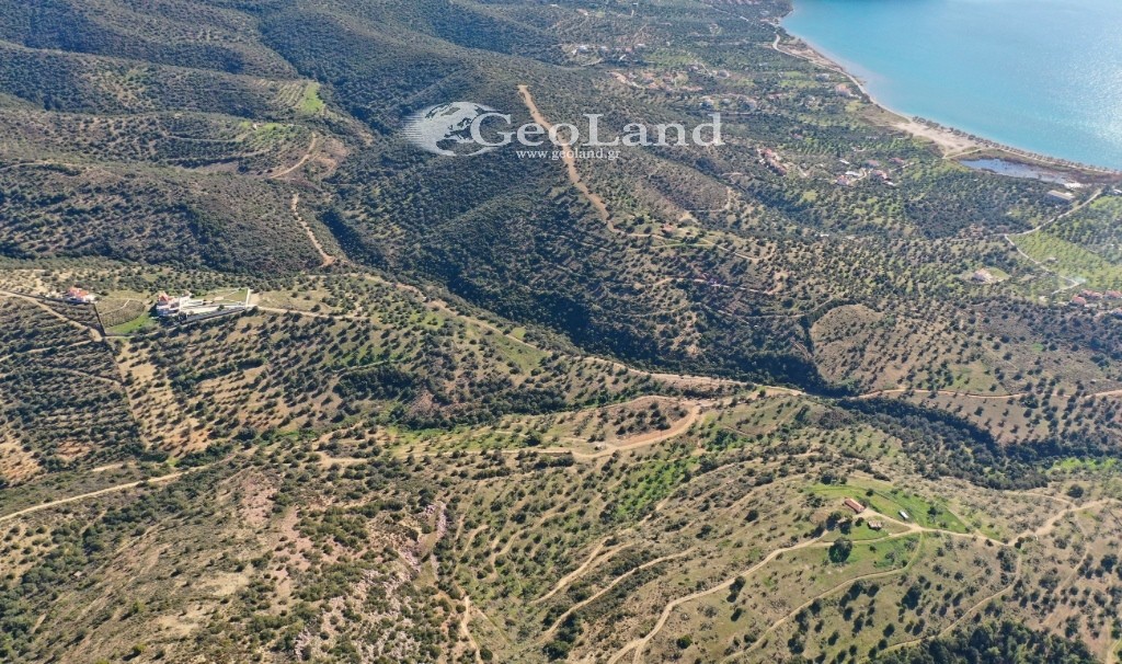 Αγροτεμάχια 14.000 τ.μ. πρός πώληση, Αργολίδα, Ερμιόνη