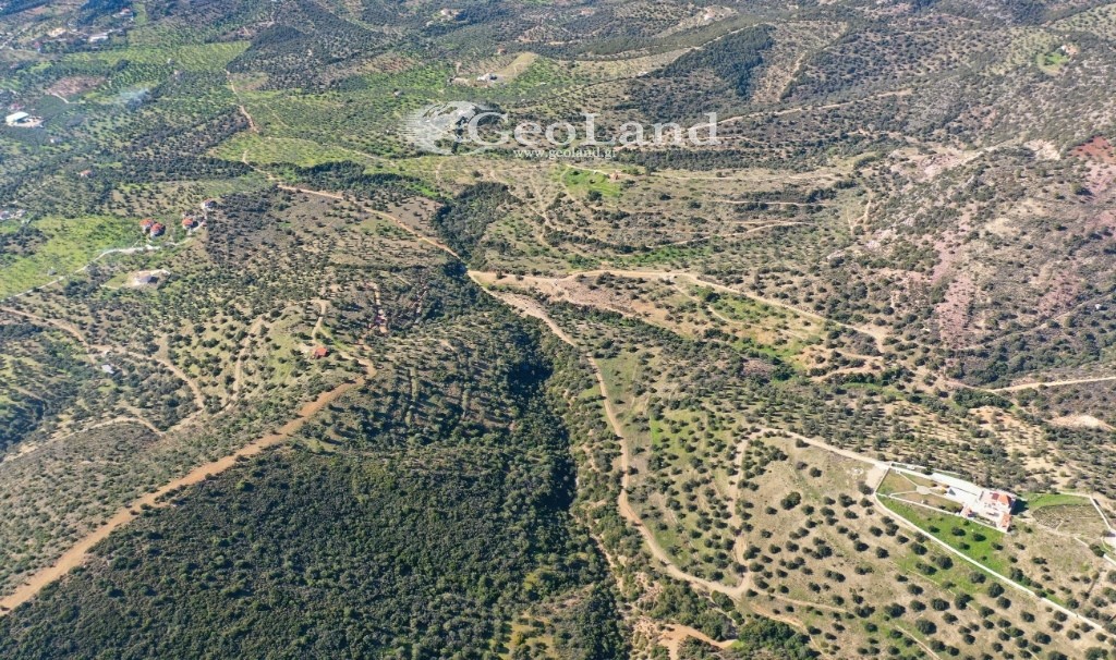 Αγροτεμάχια 14.000 τ.μ. πρός πώληση, Αργολίδα, Ερμιόνη