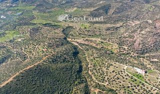 Αγροτεμάχια 14.000 τ.μ. πρός πώληση, Αργολίδα, Ερμιόνη-thumb-3