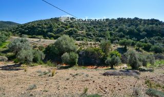 Αγροτεμάχια 14.000 τ.μ. πρός πώληση, Αργολίδα, Ερμιόνη-thumb-13
