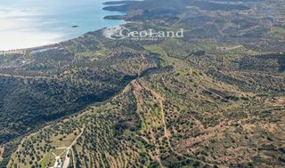 Αγροτεμάχια 14.000 τ.μ. πρός πώληση, Αργολίδα, Ερμιόνη-thumb-7
