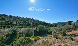 Αγροτεμάχια 14.000 τ.μ. πρός πώληση, Αργολίδα, Ερμιόνη-thumb-16