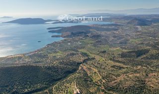 Αγροτεμάχια 14.000 τ.μ. πρός πώληση, Αργολίδα, Ερμιόνη-thumb-5