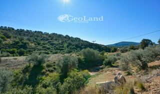 Αγροτεμάχια 14.000 τ.μ. πρός πώληση, Αργολίδα, Ερμιόνη-thumb-19