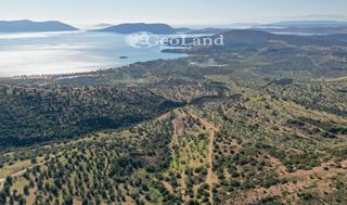 Αγροτεμάχια 14.000 τ.μ. πρός πώληση, Αργολίδα, Ερμιόνη-thumb-10