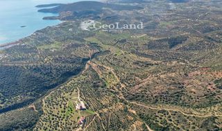 Αγροτεμάχια 14.000 τ.μ. πρός πώληση, Αργολίδα, Ερμιόνη-thumb-6