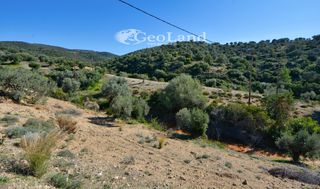 Αγροτεμάχια 14.000 τ.μ. πρός πώληση, Αργολίδα, Ερμιόνη-thumb-12