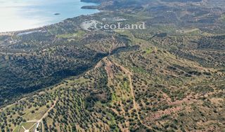 Αγροτεμάχια 14.000 τ.μ. πρός πώληση, Αργολίδα, Ερμιόνη-thumb-8