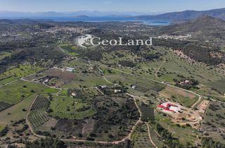 Αγροτεμάχια 4.318 τ.μ. πρός πώληση, Αργολίδα, Ερμιόνη-thumb-11