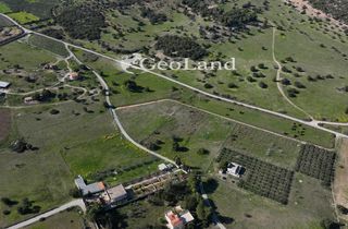 Αγροτεμάχια 4.318 τ.μ. πρός πώληση, Αργολίδα, Ερμιόνη-thumb-6