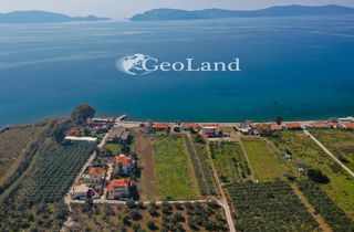 Αγροτεμάχια 5.440 τ.μ. για πώληση